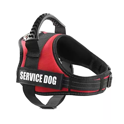Pawshoppie Real Reflective Service Dog Vest