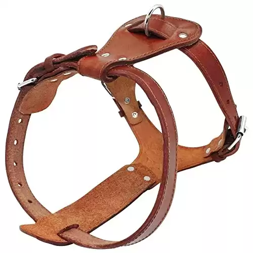 Beirui Genuine Leather Dog Harness