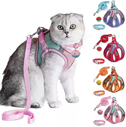 JSXD Cat Harness, Leash and Collar Set