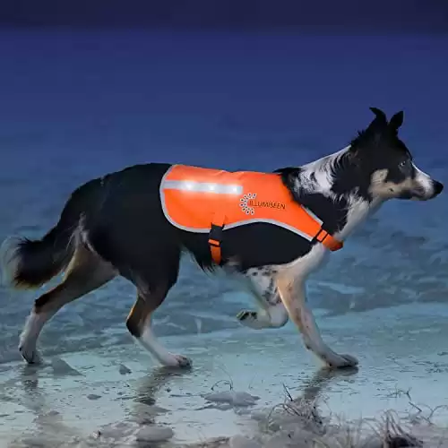 ILLUMISEEN LED Dog Vest