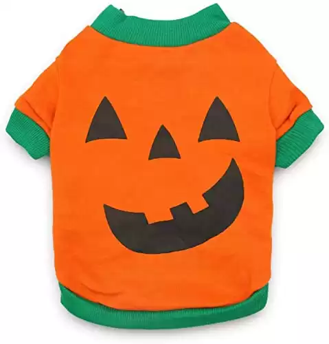 Dog Halloween Pumpkin Head Pet T Shirt
