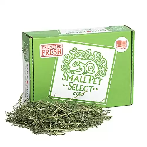 Small Pet Select Alfalfa Hay Pet Food