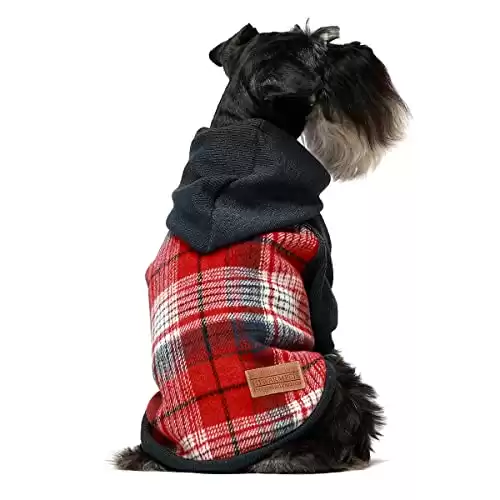 The 4 Best Dog Hoodies: Reviewed - A-Z Animals