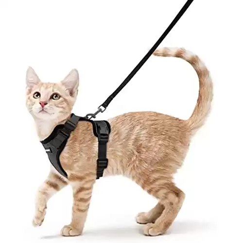 rabbitgoo Soft, Adjustable Cat Harness with Reflective Strips