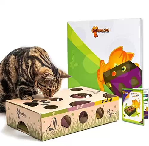Interactive Treat Maze & Puzzle Feeder for Cats