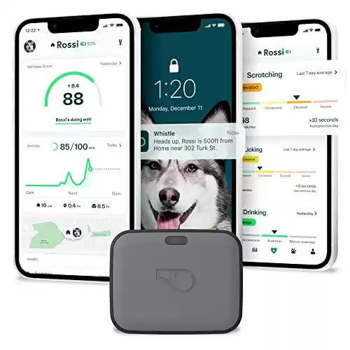 Whistle Health and Fitness Ultimate Dog GPS Tracker GO Explore