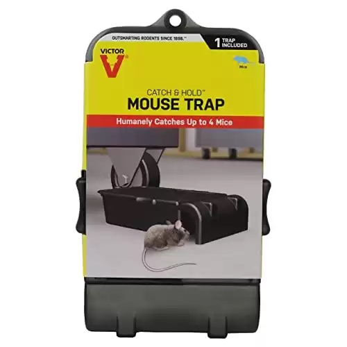 Victor M333 Multiple Catch Humane Outdoor and Indoor Mouse Trap