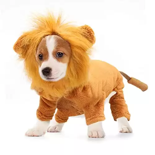 Rypet Dog Lion Costume