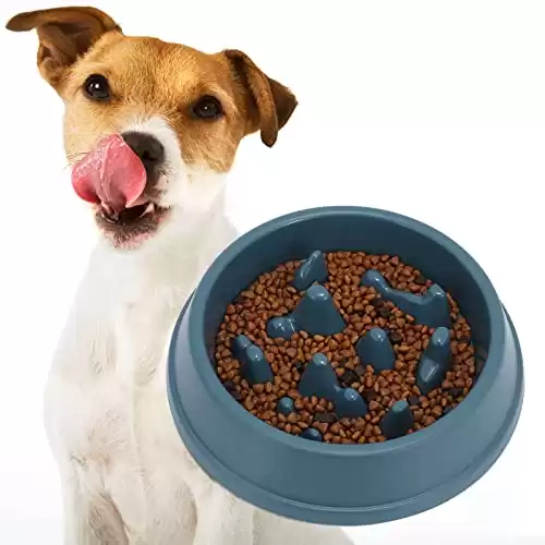 WHIPPY Slow Feeder Dog Bowl Dishes for Small/Medium Dogs