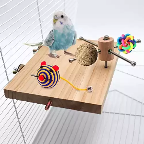 Bird Perch Stand Toy & Food Holder