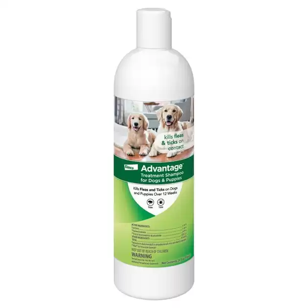 Best flea treatment shop shampoo for dogs