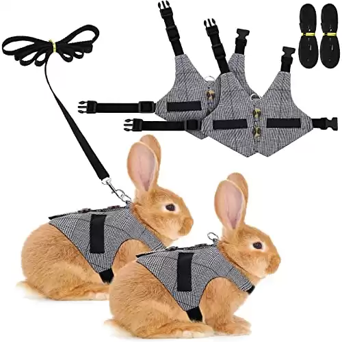 2 Piece Rabbit Vest Harness and Leash Set