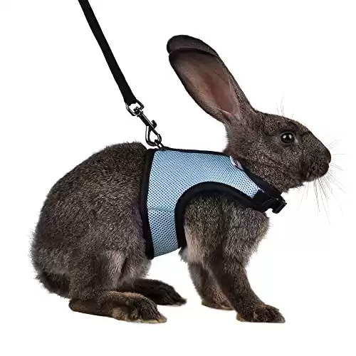 Niteangel Adjustable Soft Harness with Elastic Leash