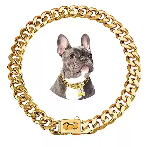 18K Gold Dog Chain Collar