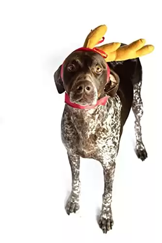 ComfyCamper Dog Reindeer Antler Headband
