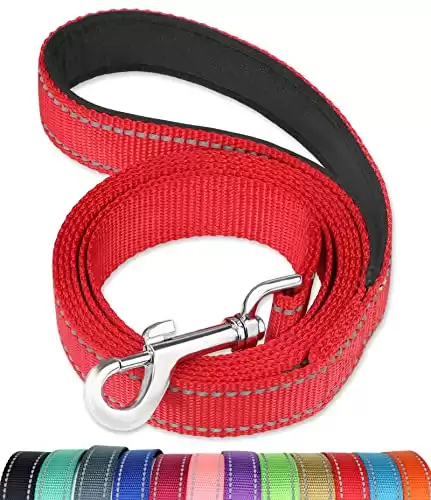 FunTags 6FT- 4FT Reflective Nylon Dog Leash with Soft Padded Handle