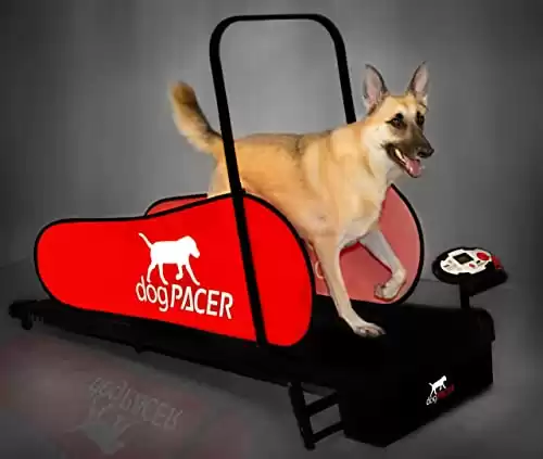 DogPacer Folding Dog Treadmill
