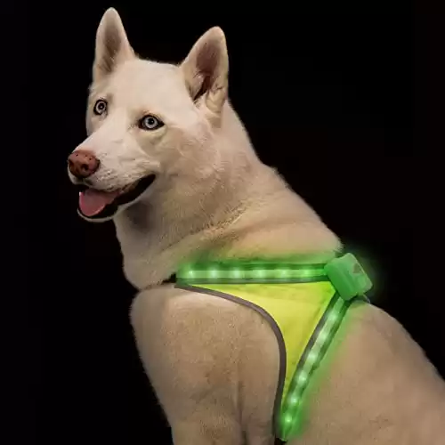 Blazin' Safety LED Lighted Dog Harness