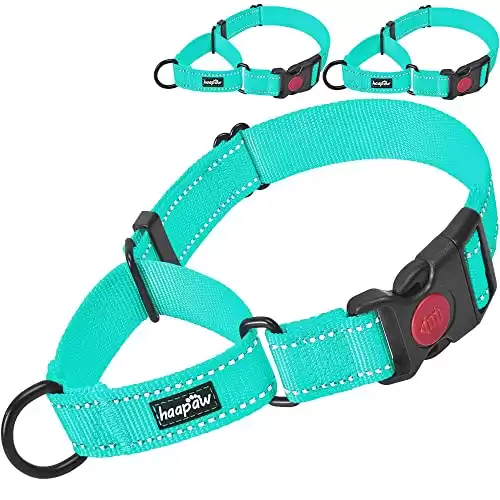 haapaw Quick Release Reflective Martingale Collar