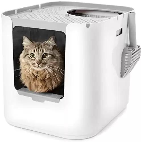 Modkat XL Litter Box, Top or Front-Entry