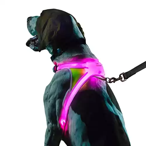 noxgear Illuminated and Reflective Harness for Dogs