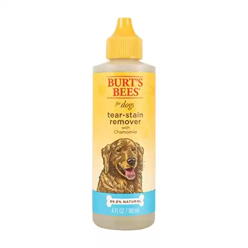 The Best Dog Tear Stain Remover A Z Animals