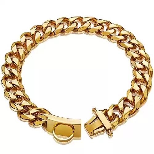 W/W Lifetime Gold Dog Chain Collar