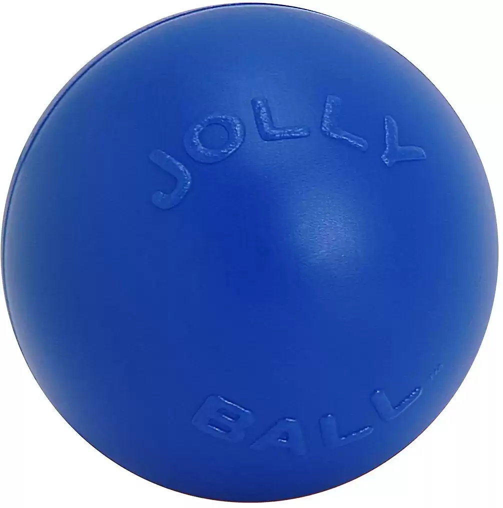 Jolly Pets Push-n-Pull Play Ball
