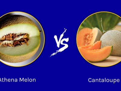 A Athena Melon vs. Cantaloupe: What’s the Difference?