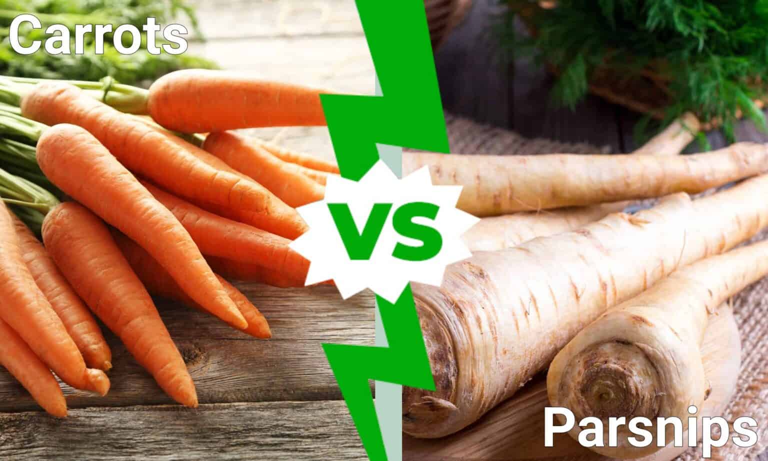 Carrot vs. Parsnip What Are Their Differences? AZ Animals