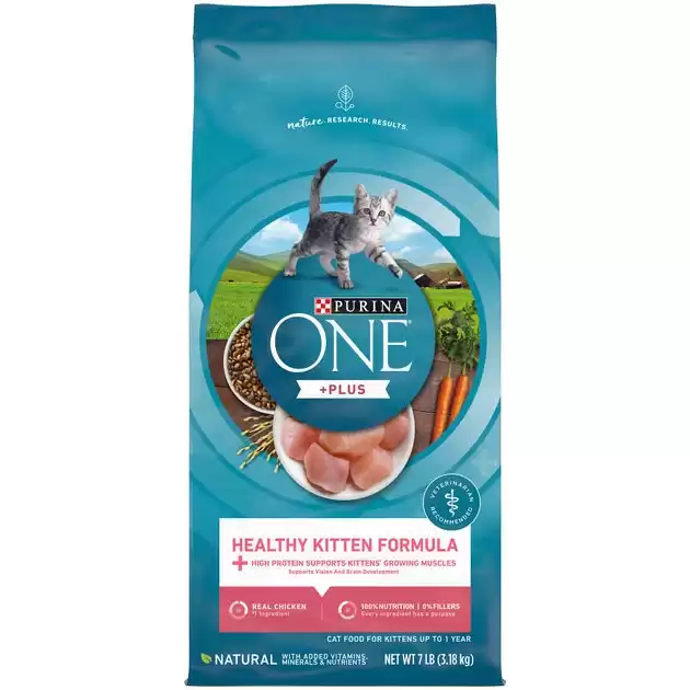 Purina ONE Healthy Kitten Formula Dry Cat Food