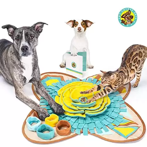 How To Pick the Best Dog Puzzle Treats and Toys for Your Dog – The