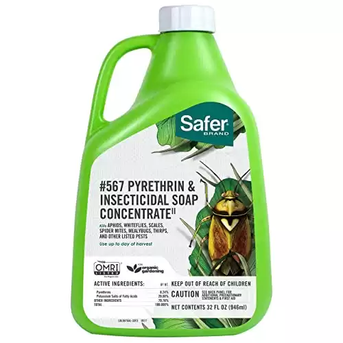 Safer Brand Insecticidal Soap & Pyrethrin Concentrate