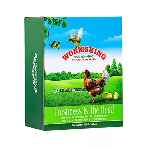 WORMSKING Dried Mealworms 100% Non-GMO, High-Protein Mealworms