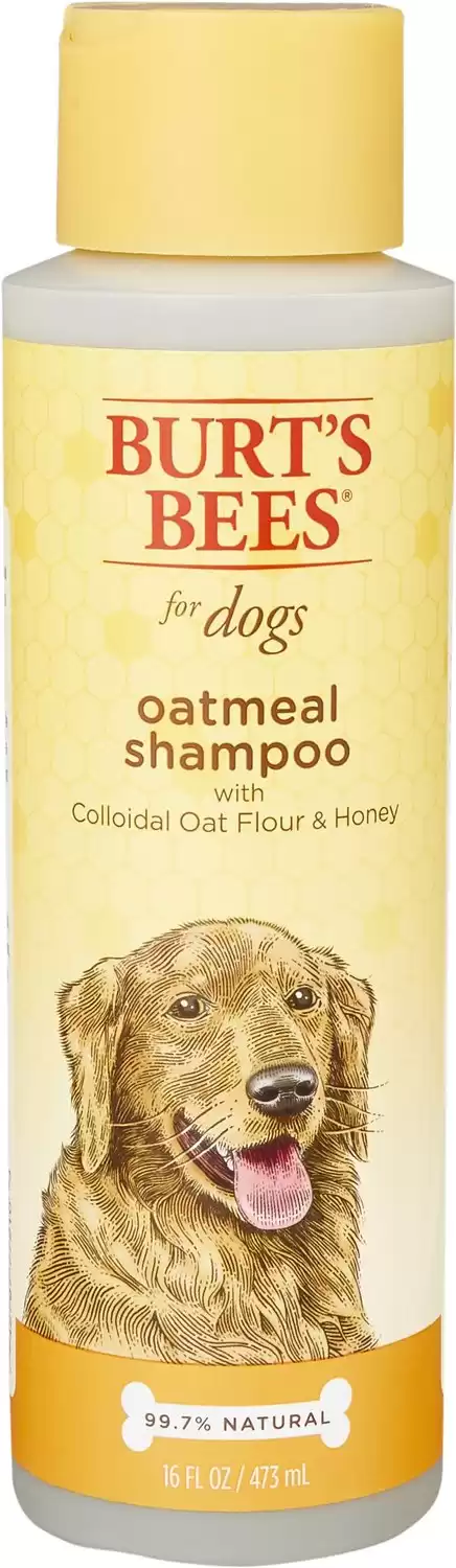 Burt’s Bees Oatmeal Shampoo