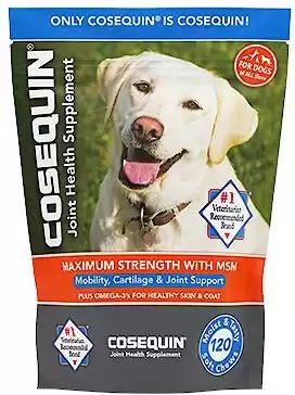 best joint supplement for dogs