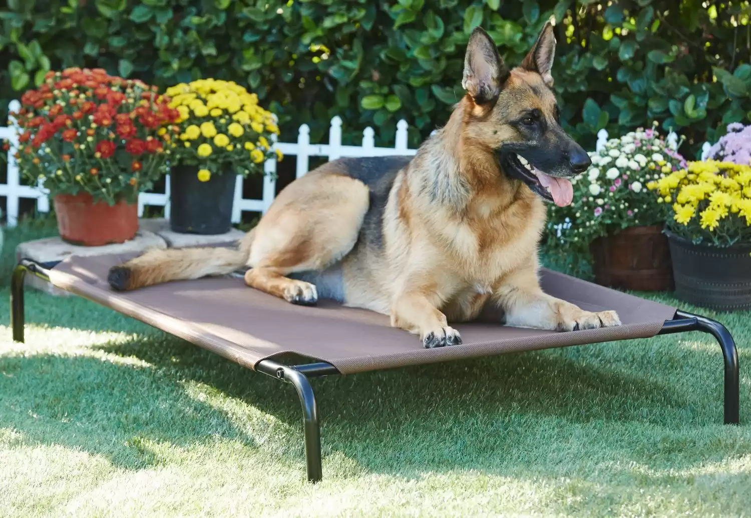 Frisco Steel-Framed Elevated Dog Bed