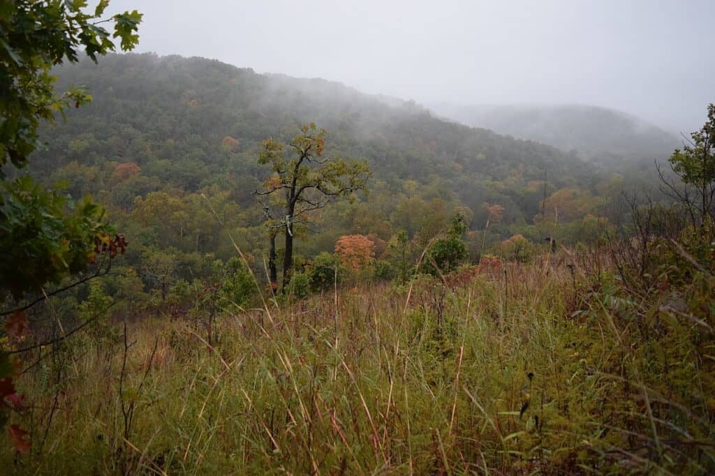 A wooded, hilly area with fall foliage
