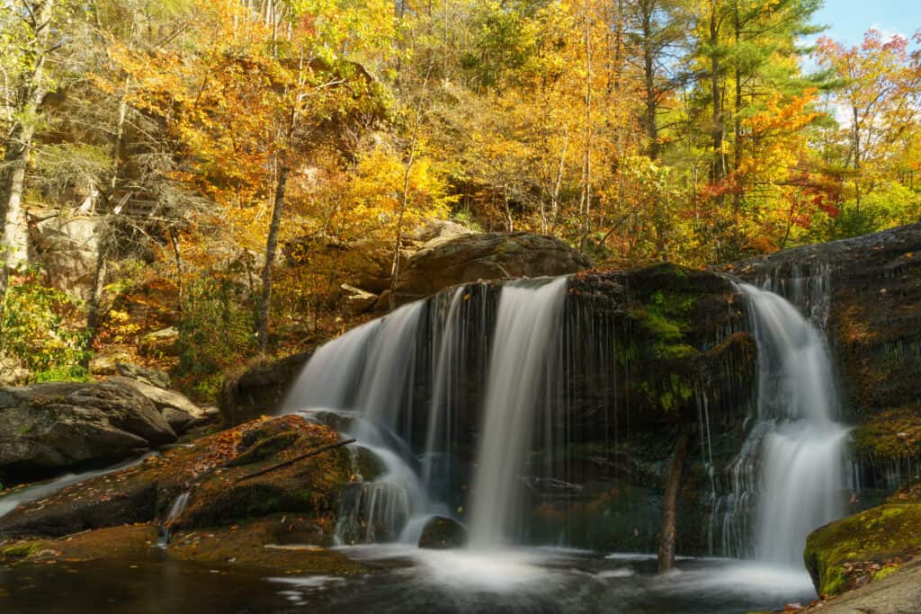 Cherokee National Forest