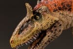Cryolophosaurus