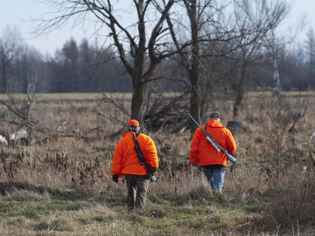 Two men with deer hunting equipment in Alabama are walking with guns on their backs to go find prey. They seem to be walking toward a forest.