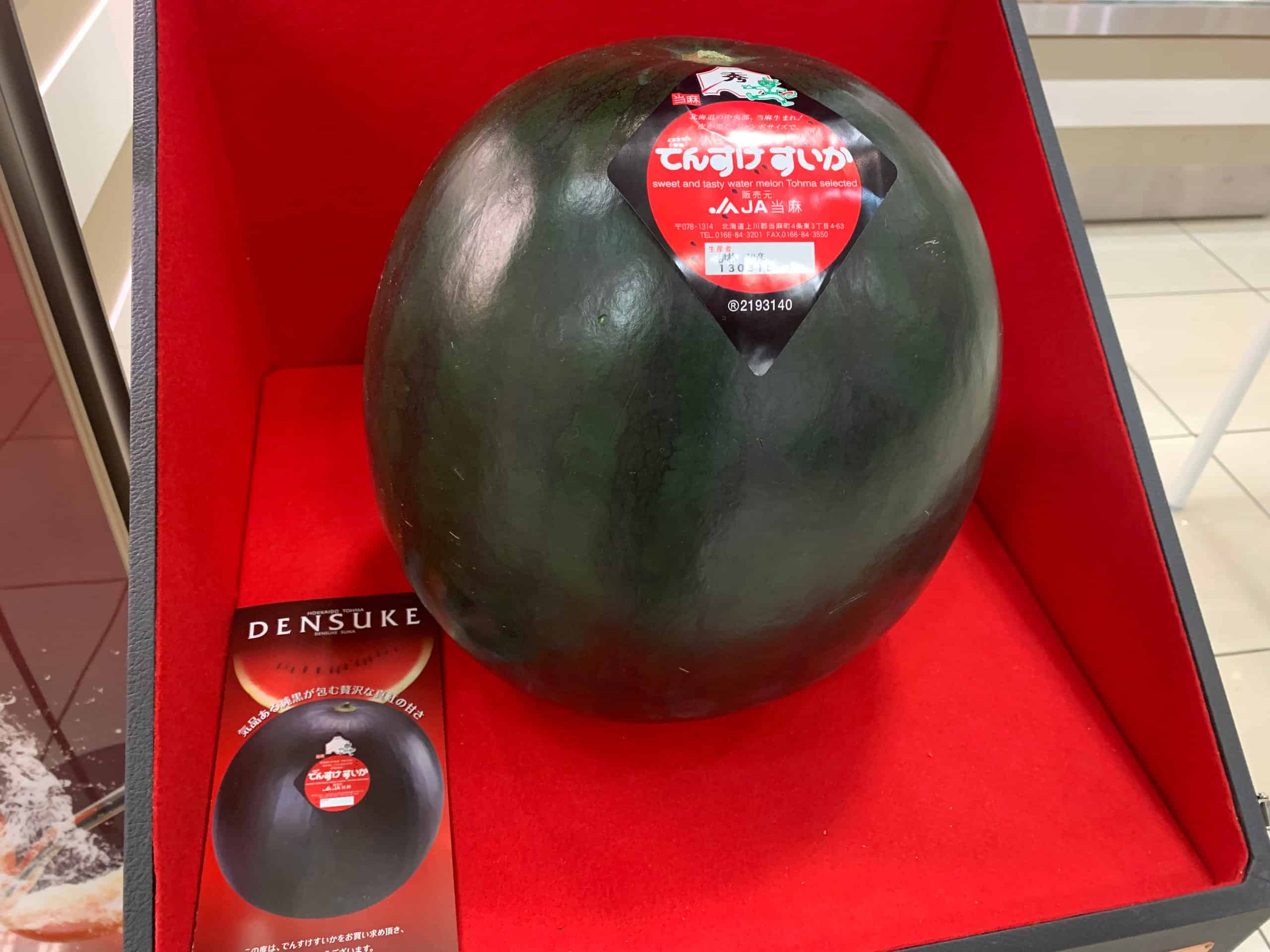 Densuke Watermelon