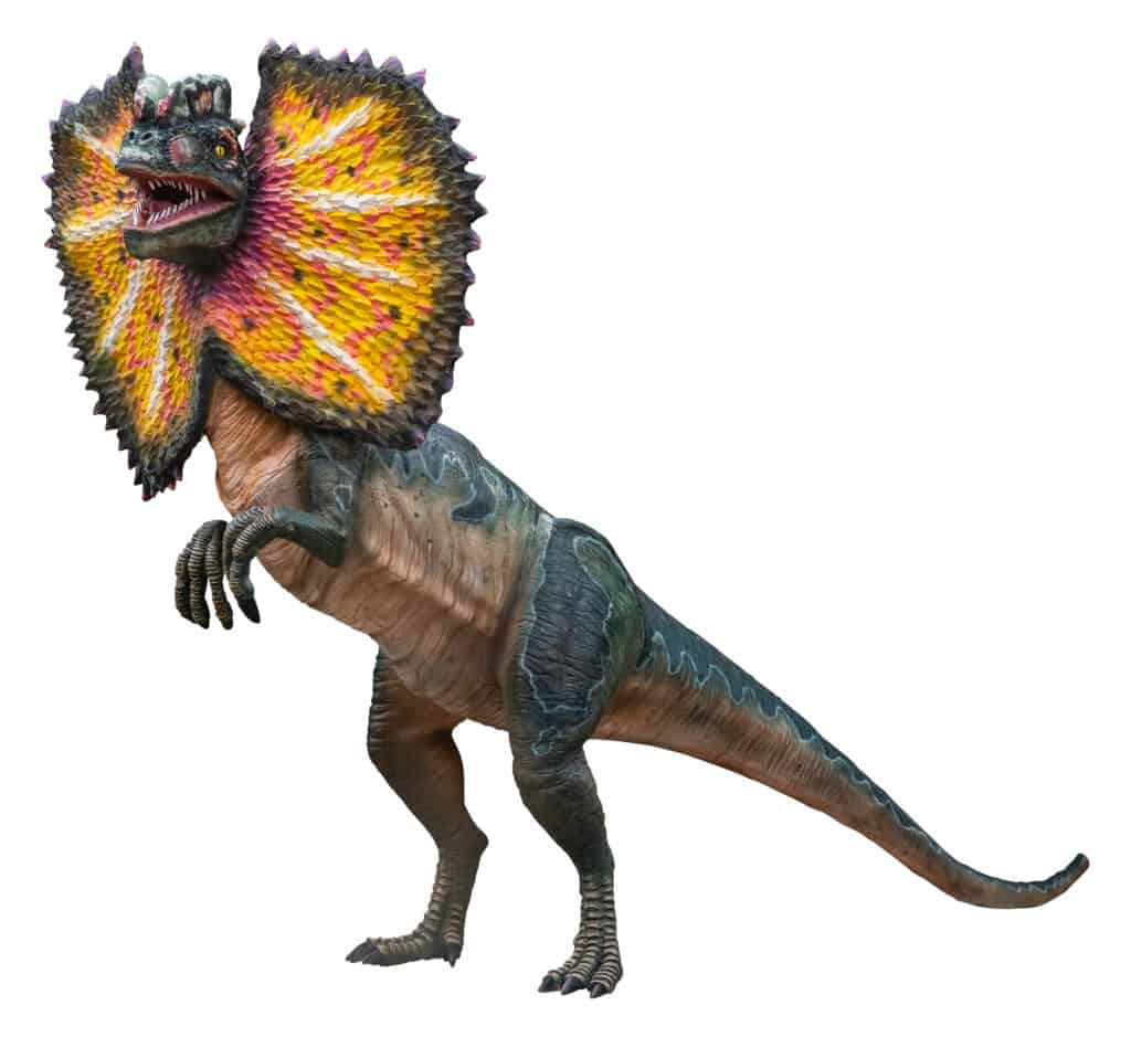 Rendu 3D mâle Dilophosaurus