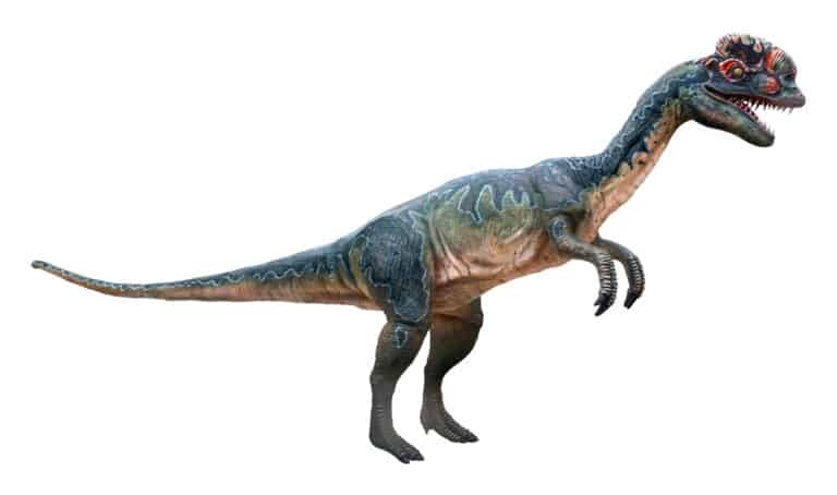 Dilophosaurus Female 3D Render