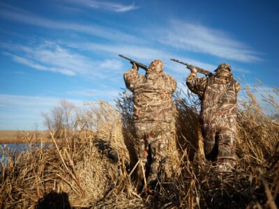 A Duck Hunting Season in Maine: Season Dates, Bag Limits and More