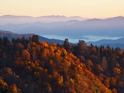 A The 5 Best Spots for Leaf Peeping in Tennessee: Peak Dates, Top Driving Routes, and More