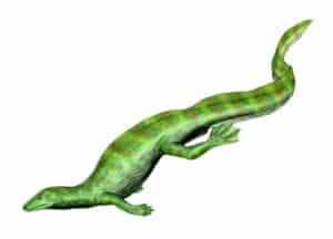 Meet the Foot Long Reptile With Webbed Feet and a Lizard Head That Used to Roam the Earth Picture
