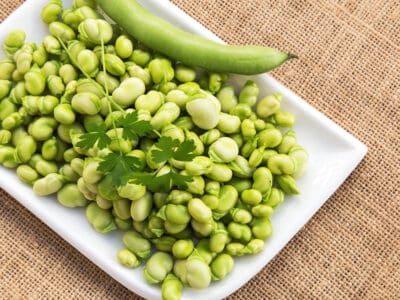 A Fava Bean vs. Lima Bean: What’s the Difference?