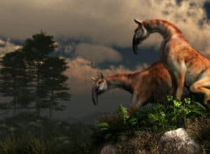 Macrauchenia 3D illustration