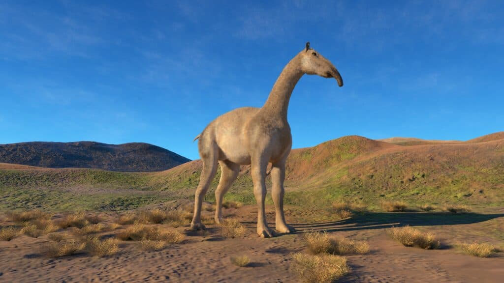 3D illustration of a lone Macrauchenia